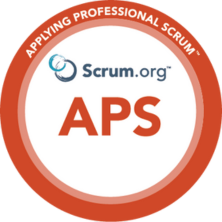 Applying Professional Scrum